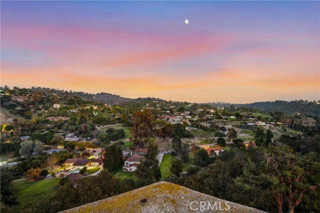 Detail Gallery Image 58 of 68 For 2034 Virazon Dr, La Habra Heights,  CA 90631 - 4 Beds | 4 Baths