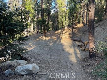 Detail Gallery Image 5 of 9 For 0 Fernland Dr, Idyllwild,  CA 92549 - – Beds | – Baths