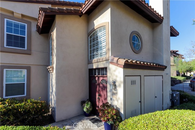 Front Image Thumbnail for CROC26056362