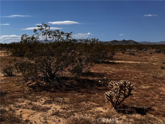 Detail Gallery Image 6 of 10 For 0 Orion Dr, Joshua Tree,  CA 92252 - – Beds | – Baths
