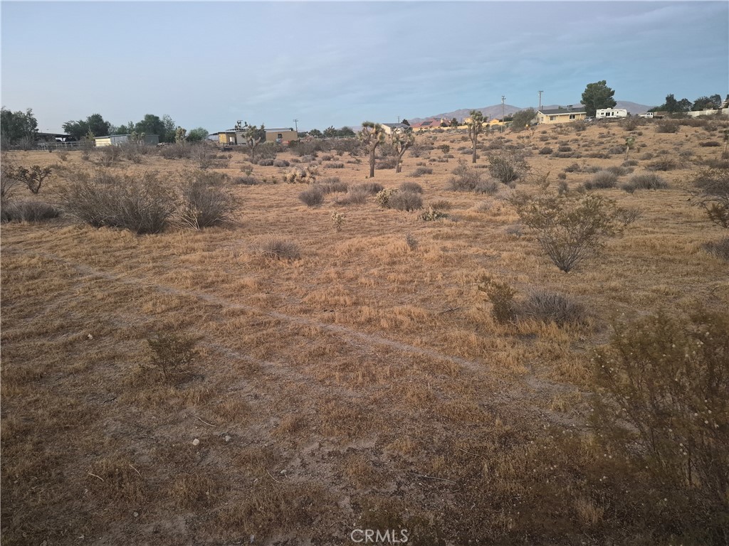 MLS #HD26194052 image #5