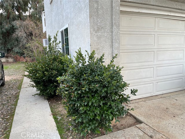 Image 9 of 11 For 34667 Borchard Road L