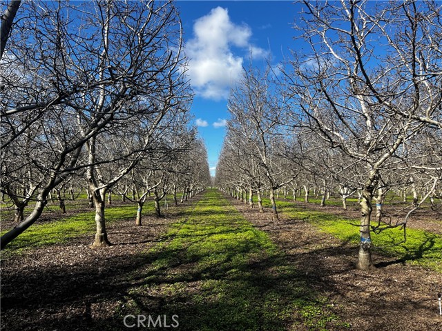 Detail Gallery Image 7 of 15 For 3900 Stephens Rd, Corning,  CA 96021 - 2 Beds | 1 Baths