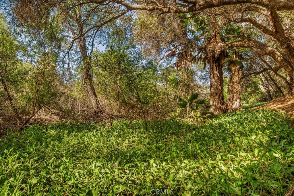 https://media.crmls.org/medias/cb20bcf1-0f23-4aed-b1ae-36b6dee404c6.jpg?preset=X-Large