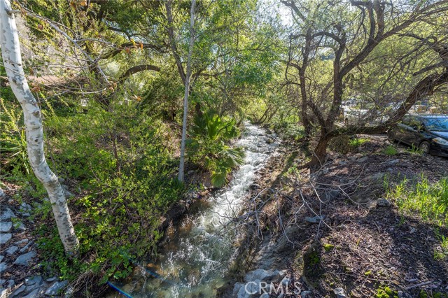 Creek Behind Home