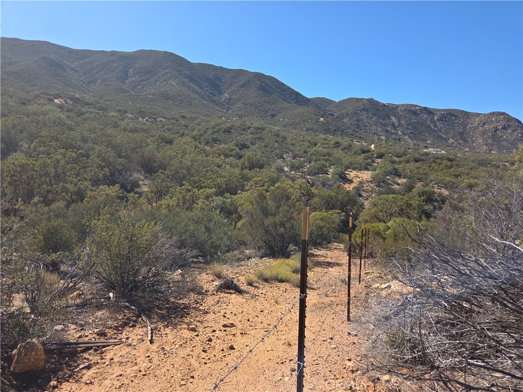 MLS #SW25248553 image #11