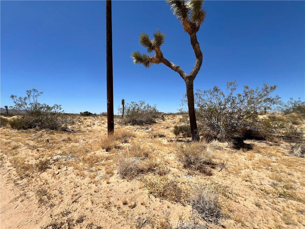 MLS #SW24134801 image #6