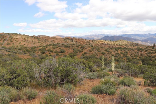 0 Vac/Cor Mountain Spring/Carrol, Acton, California 93510, ,Land,For Sale,0 Vac/Cor Mountain Spring/Carrol,CRSR23077660