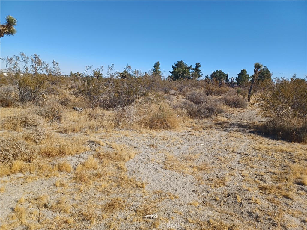 MLS #CV25117783 image #9