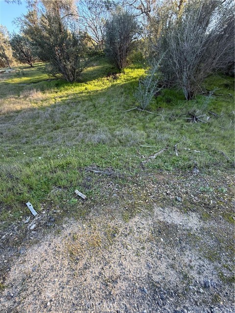 Detail Gallery Image 21 of 25 For 0 Long Hollow Lot 1631, Coarsegold,  CA 93614 - – Beds | – Baths