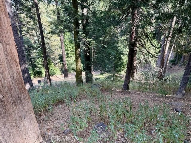 0 Burnt Mill Canyon Road, Cedarpines Park CA: https://media.crmls.org/medias/cb3ade05-9b15-4f07-9c05-33264b42c96b.jpg