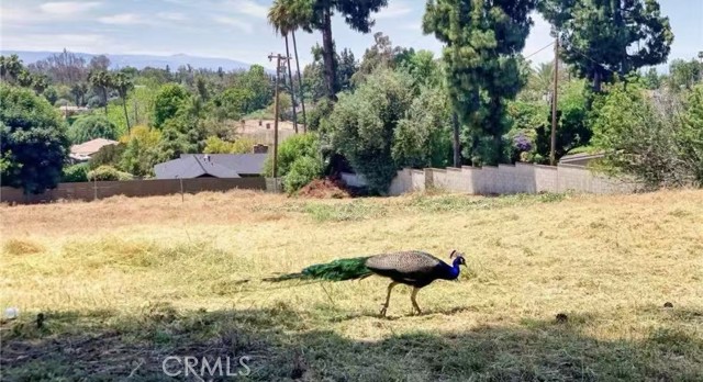 Detail Gallery Image 3 of 6 For 20528 E Rancho Los Cerritos, Covina,  CA 91724 - – Beds | – Baths