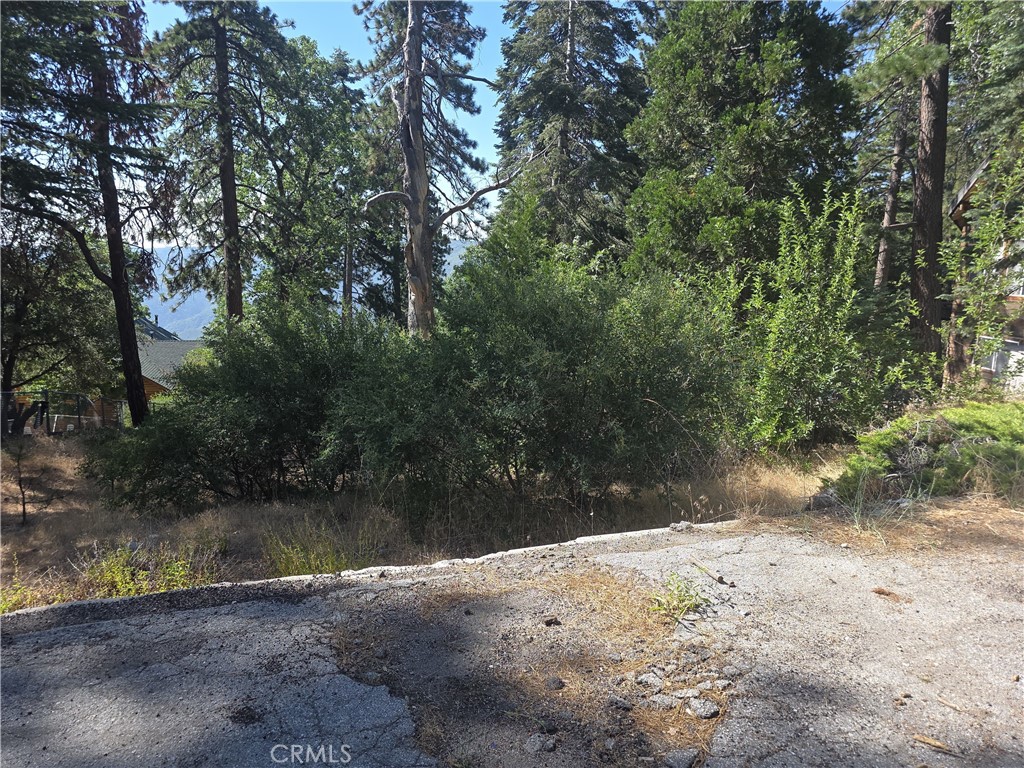 MLS #IV25164283 image #21