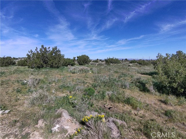 Detail Gallery Image 8 of 10 For 0 Yucca Terrace Dr, Phelan,  CA 92371 - – Beds | – Baths