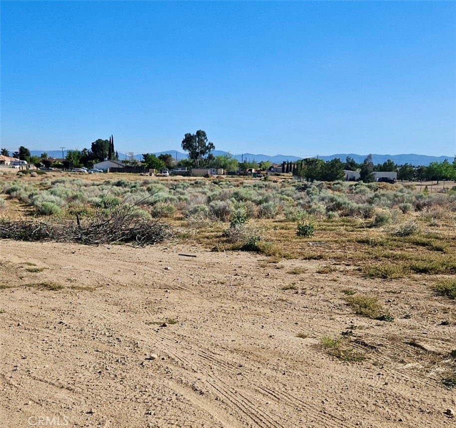MLS #HD26073686 image #2