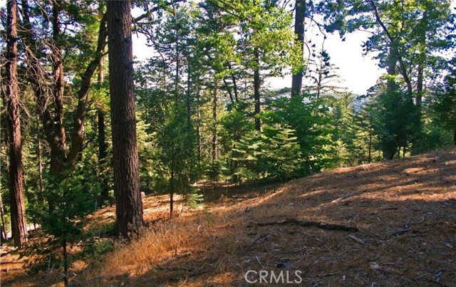 Detail Gallery Image 7 of 17 For 525 Ca-173, Lake Arrowhead,  CA 92352 - – Beds | – Baths