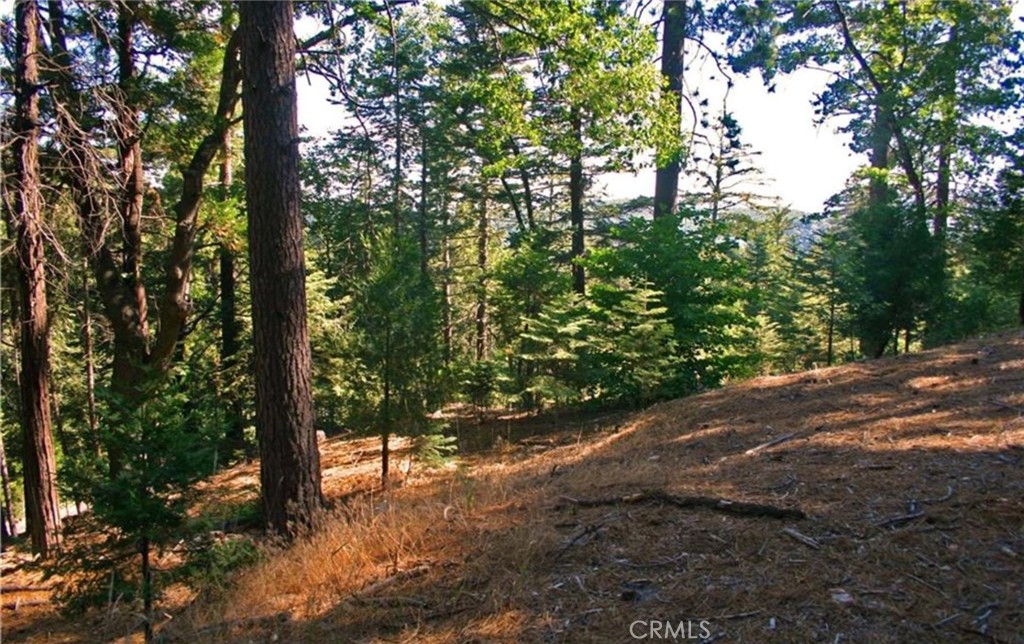 MLS #IG25271978 image #6