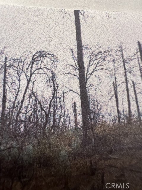 Detail Gallery Image 10 of 11 For 0 Rockerfeller Rd, Berry Creek,  CA 95916 - – Beds | – Baths