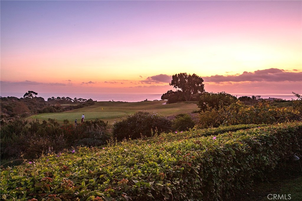 Cb68b0ae Bc8f 4a79 8b37 540f2aa0dae3