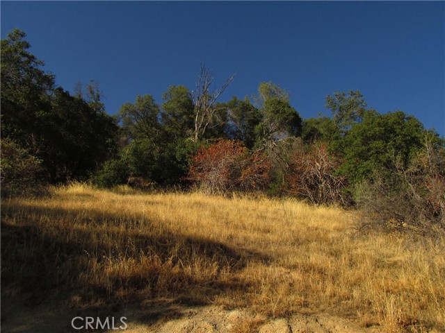 2 Old Oaks Court, North Fork, California 93643, ,Land,For Sale,2 Old Oaks Court,CRFR23180860