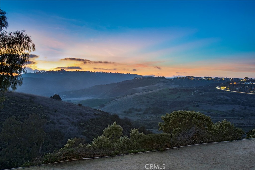 MLS #OC25270482 image #49