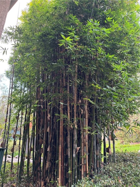 Detail Gallery Image 22 of 23 For 436 N Bellflower #206,  Long Beach,  CA 90814 - 1 Beds | 1 Baths