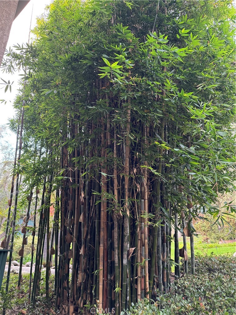 MLS #OC25253202 image #21