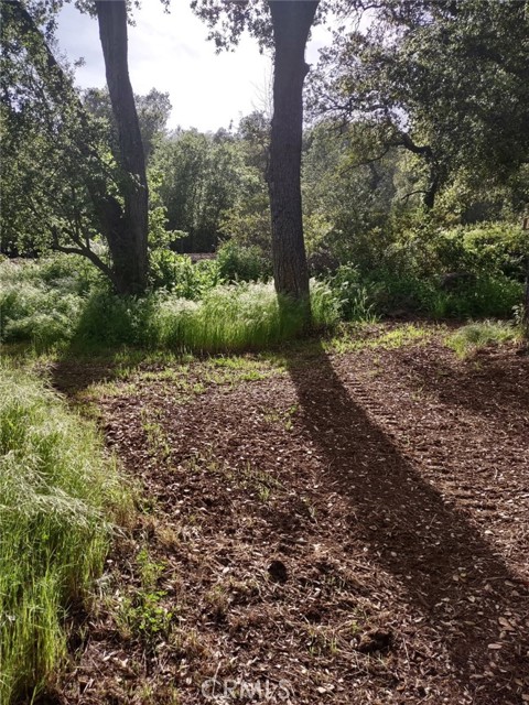 0 Avenida Perla Bonita, Murrieta CA: https://media.crmls.org/medias/cb706474-40a0-4ba0-9bb5-56daea94d375.jpg