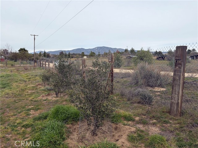 Detail Gallery Image 23 of 41 For 1 Boulder Hill Rd, Anza,  CA 92539 - – Beds | – Baths