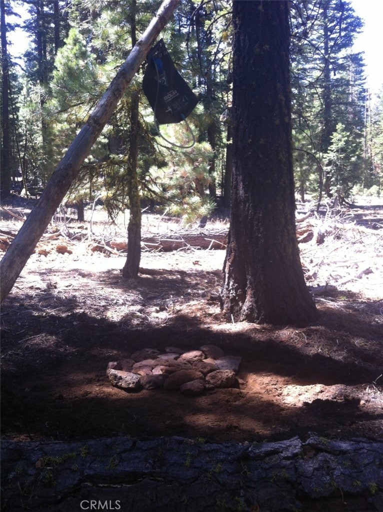 0 Polk, California Pines, CA 96101