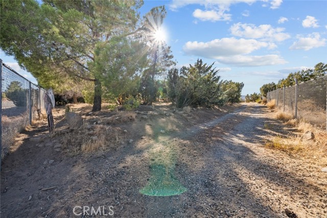 Detail Gallery Image 45 of 54 For 8676 Sky Line Dr, Pinon Hills,  CA 92372 - 3 Beds | 2/1 Baths