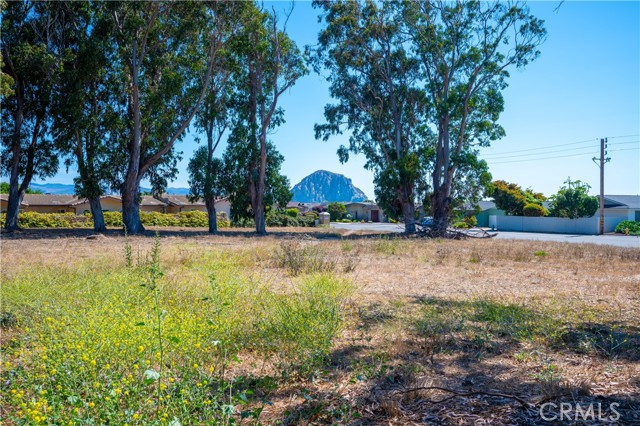 Detail Gallery Image 13 of 39 For 2783 Coral Ave, Morro Bay,  CA 93442 - – Beds | – Baths