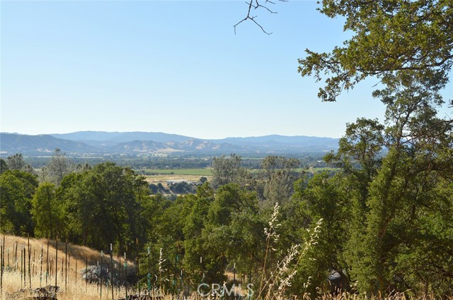 Detail Gallery Image 21 of 53 For 6765 S State Highway 29, Kelseyville,  CA 95451 - 2 Beds | 2 Baths