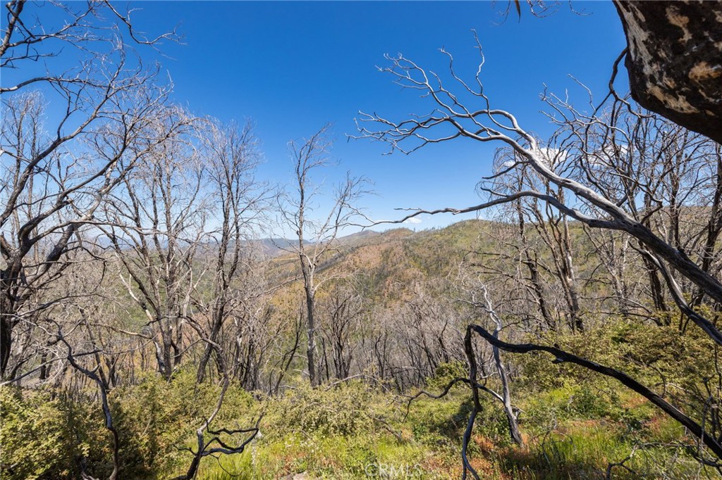 MLS #MP25088475 image #53