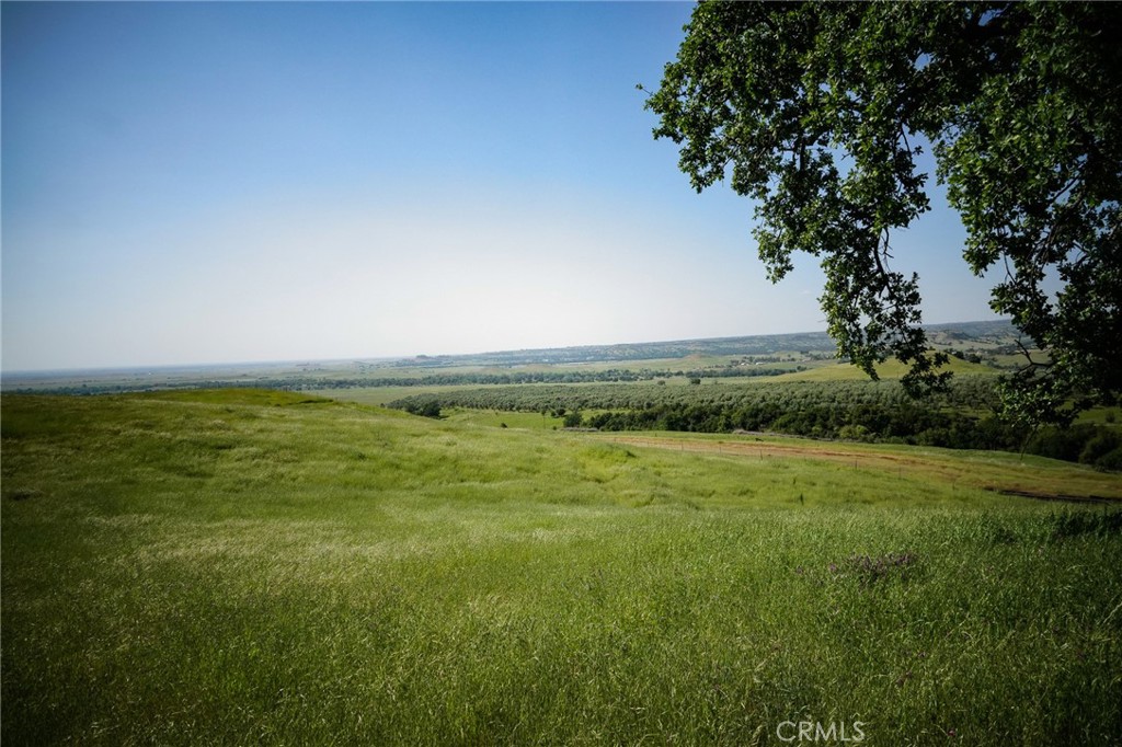 https://media.crmls.org/medias/cb8f9338-b920-412c-9479-67dd3c91408d.jpg?preset=X-Large