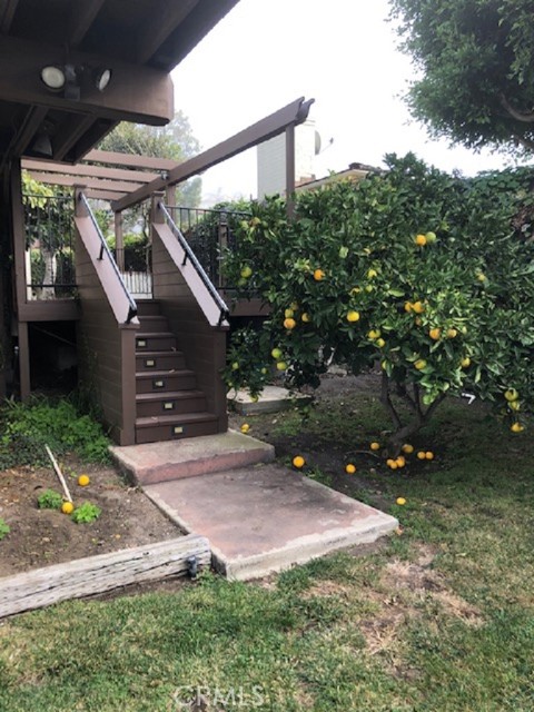 Stairs to back yard