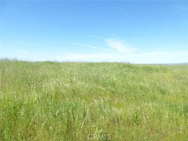 Detail Gallery Image 17 of 51 For 0 Douglas Rd. (Lot 33), San Miguel,  CA 93451 - – Beds | – Baths