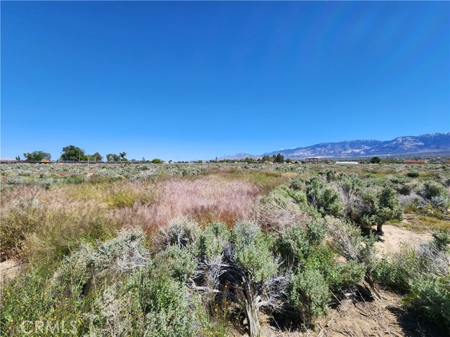 1 Near Sunset Road, Lucerne Valley, California 92356, ,Land,For Sale,1 Near Sunset Road,CRHD23215036