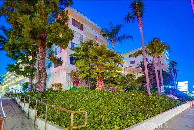 Lush, Green Landscaping Lush, Green Landscaping