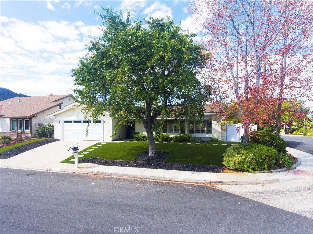 865 Palmgrove