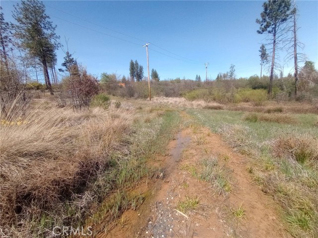 Detail Gallery Image 26 of 27 For 3515 Hoffman, Oroville,  CA 95965 - – Beds | – Baths