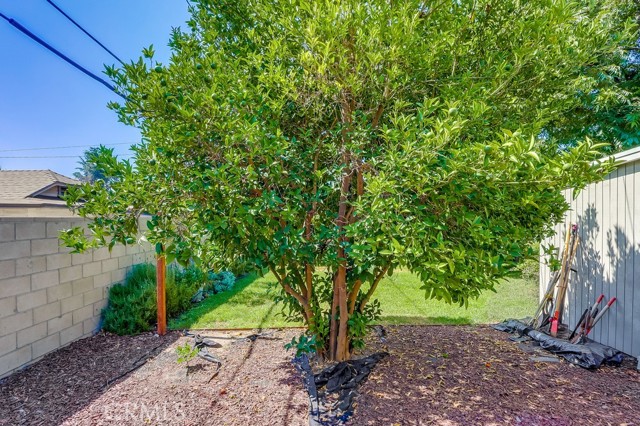 Detail Gallery Image 59 of 59 For 1402 N Oxford Ave, Pasadena,  CA 91104 - 2 Beds | 1 Baths