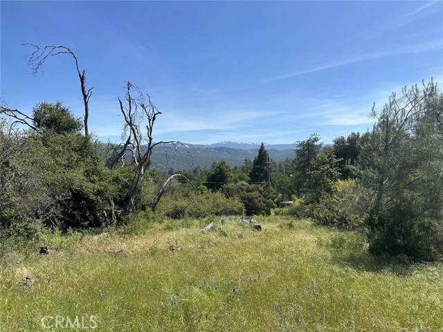 Detail Gallery Image 1 of 9 For 0 1.68 Ac Deerview Ln, Oakhurst,  CA 93644 - – Beds | – Baths
