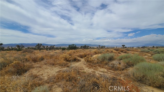 0 Vicinity Kingbird & 243rd St W, Rosamond, California 93560, ,Land,For Sale,0 Vicinity Kingbird & 243rd St W,CRSR23155108