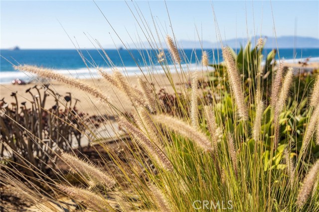 Detail Gallery Image 65 of 70 For 3603 Manhattan, Manhattan Beach,  CA 90266 - 3 Beds | 3/1 Baths