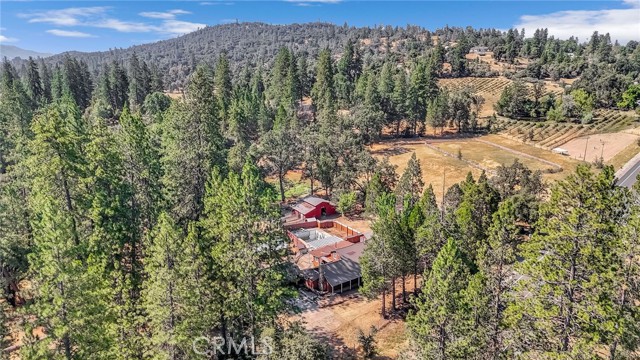 Detail Gallery Image 43 of 52 For 2823 State Highway 49, Mariposa,  CA 95338 - 4 Beds | 3 Baths