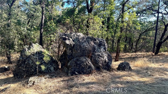 Detail Gallery Image 18 of 38 For 0 Rich Gulch Rd, Yankee Hill,  CA 95965 - – Beds | – Baths