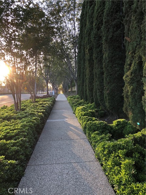 Detail Gallery Image 6 of 23 For 122 Vintage #20,  Irvine,  CA 92620 - 3 Beds | 3 Baths