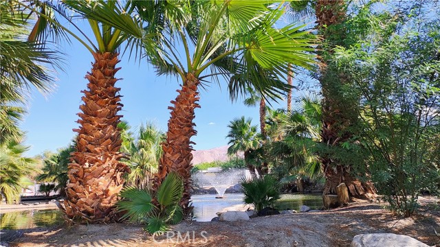 17555 Corkill Road, Desert Hot Springs CA: https://media.crmls.org/medias/cbcb2206-9e1c-4665-a075-e4dff2764e17.jpg