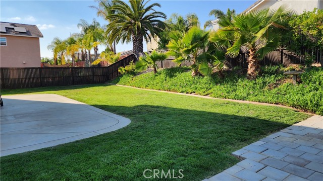 Lush backyard